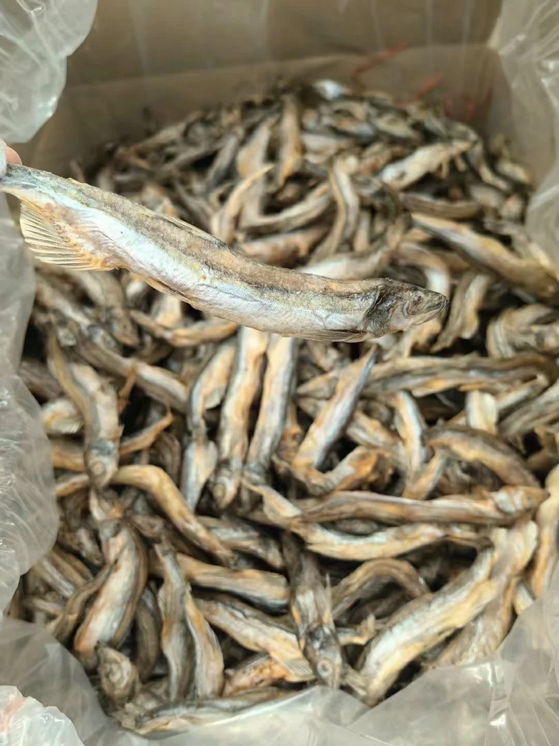 多春鱼(深海鱼油)-猫狗通用高蛋白8