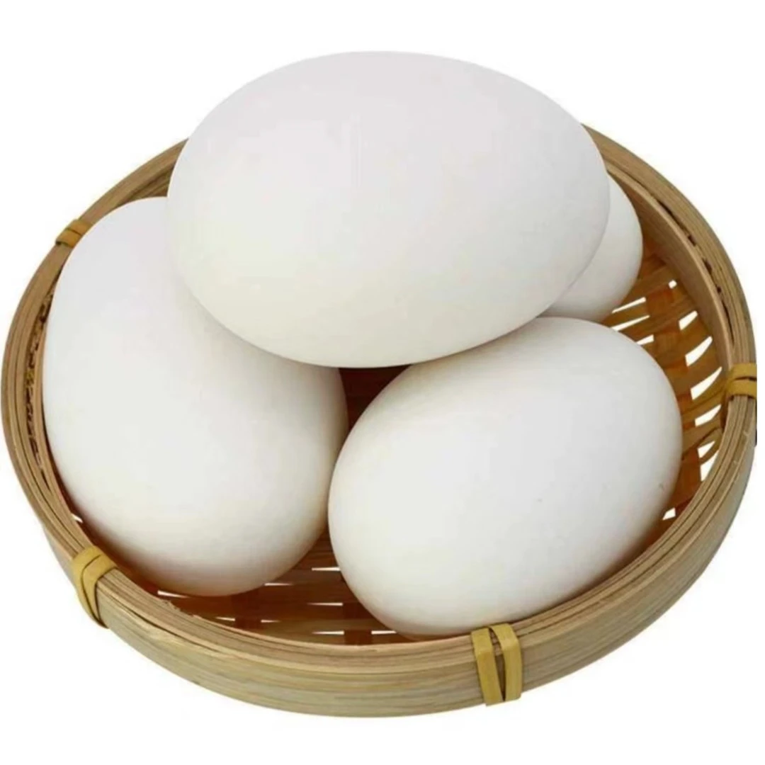 鹅蛋一枚  约200g