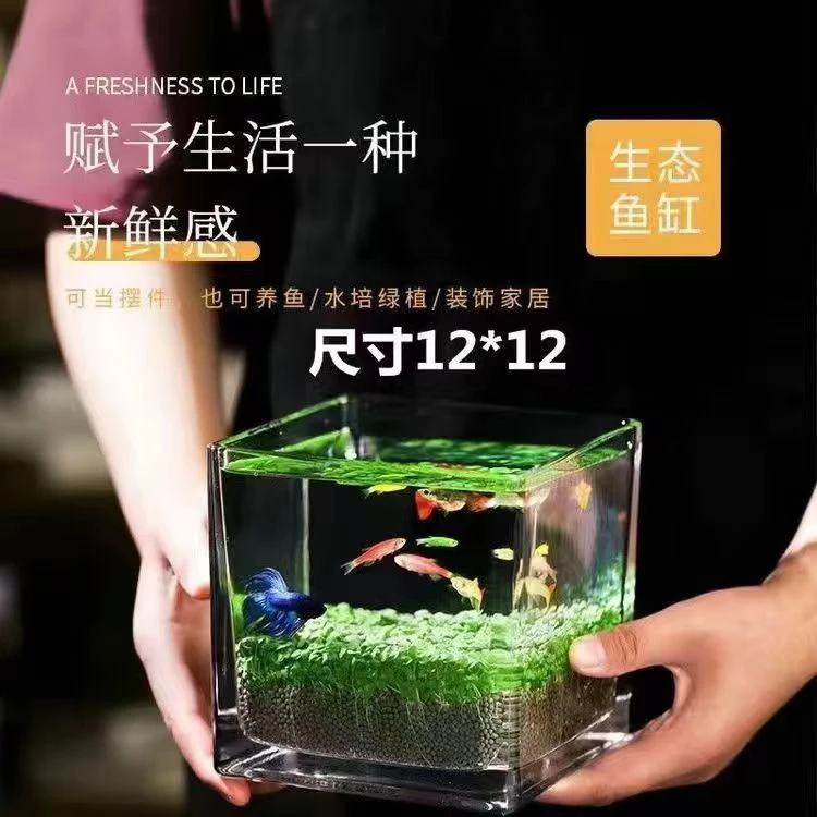 小型迷你创意生态小鱼缸水草泥家用办公桌微观造景懒人水草缸真草