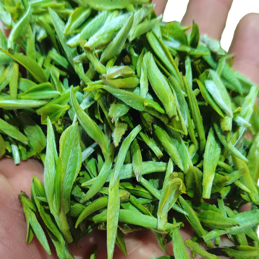 竹山竹溪清明前高山手工绿茶芽茶箭茶一芽一叶青绿茶100克/500克