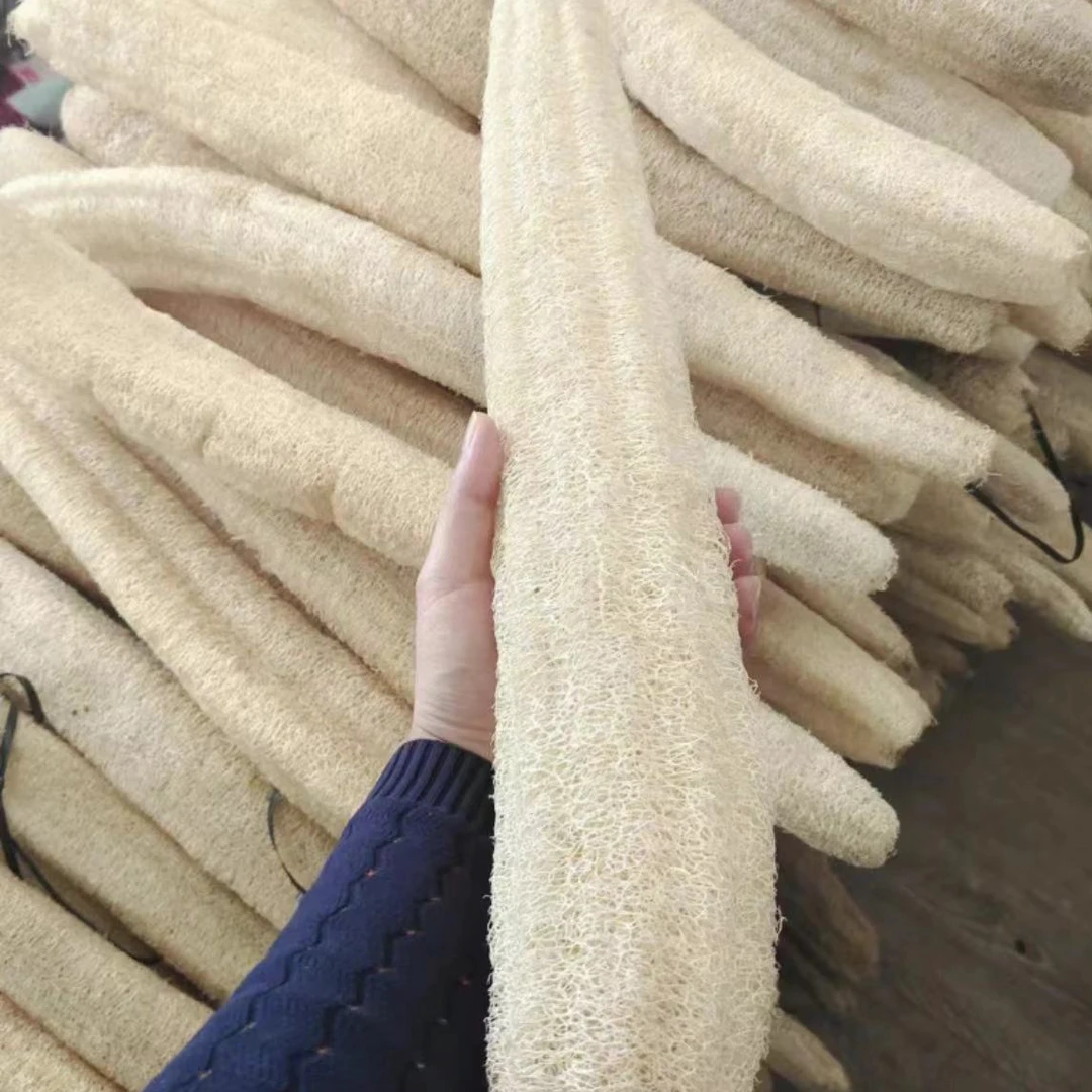 丝瓜瓤现场称重【洪泽现场称重】