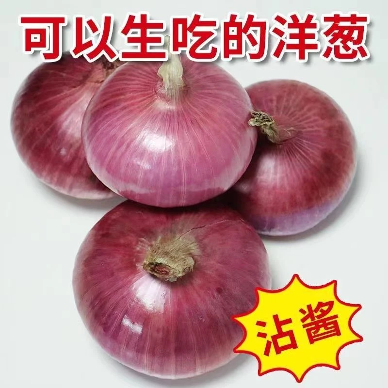 紫红皮水果洋葱9斤新鲜葱头现挖洋葱5斤圆葱头批发农家蔬菜甜瓜