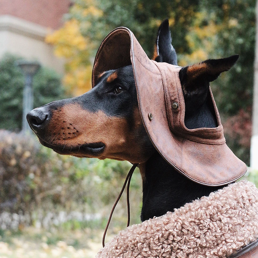 新款宠物狗狗帽子犬类保暖时尚牛仔帽机车帅气秋冬复古个性骑行