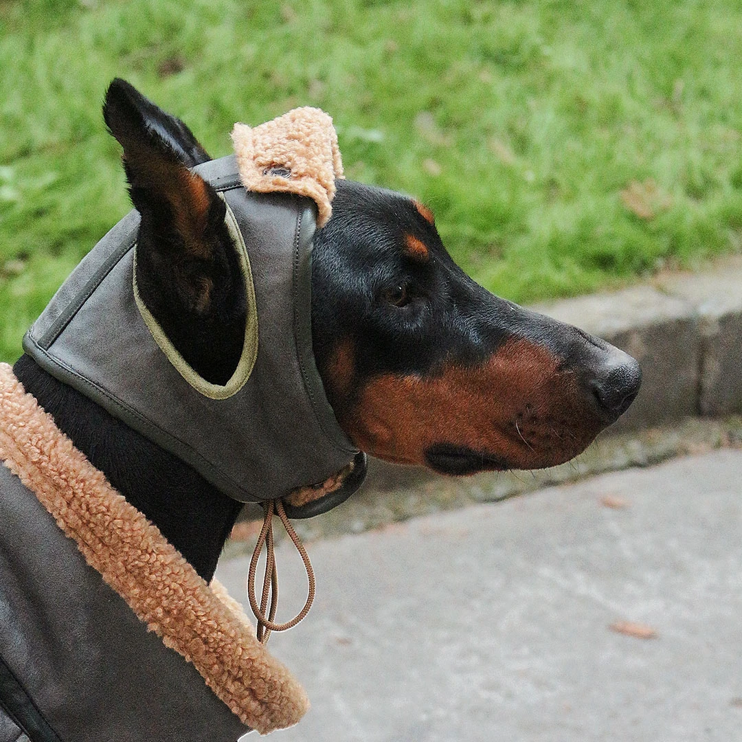 新款宠物狗狗帽子犬类保暖时尚飞行帽机车帅气秋冬复古个性骑行