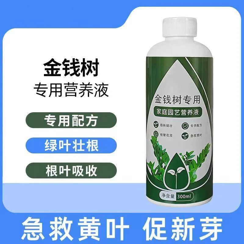【金钱树营养液】金钱树叶子枯叶黄叶掉叶专用营养液防黄叶落叶烂根