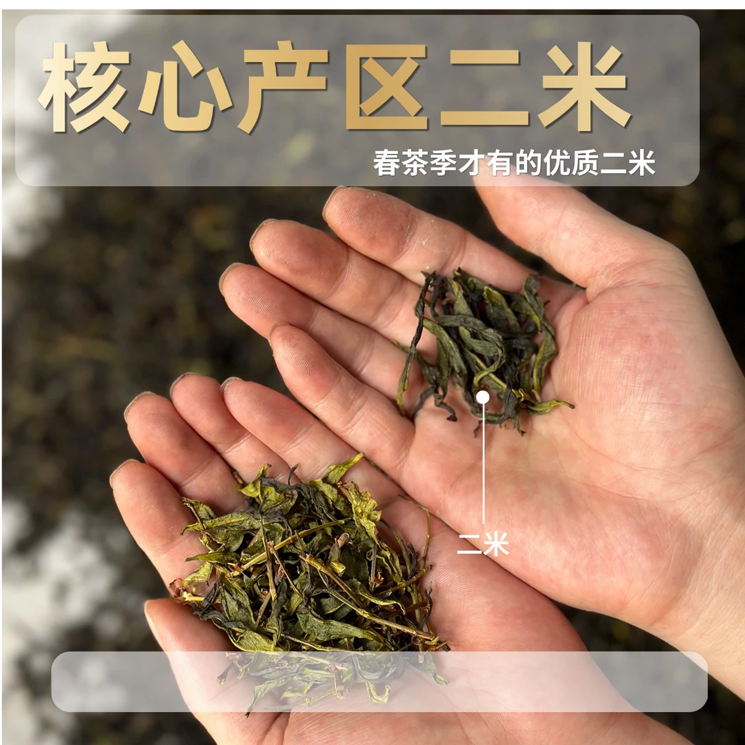 【核心产区二米】正宗原产地广东潮州凤凰山凤凰单丛茶单枞乌龙茶