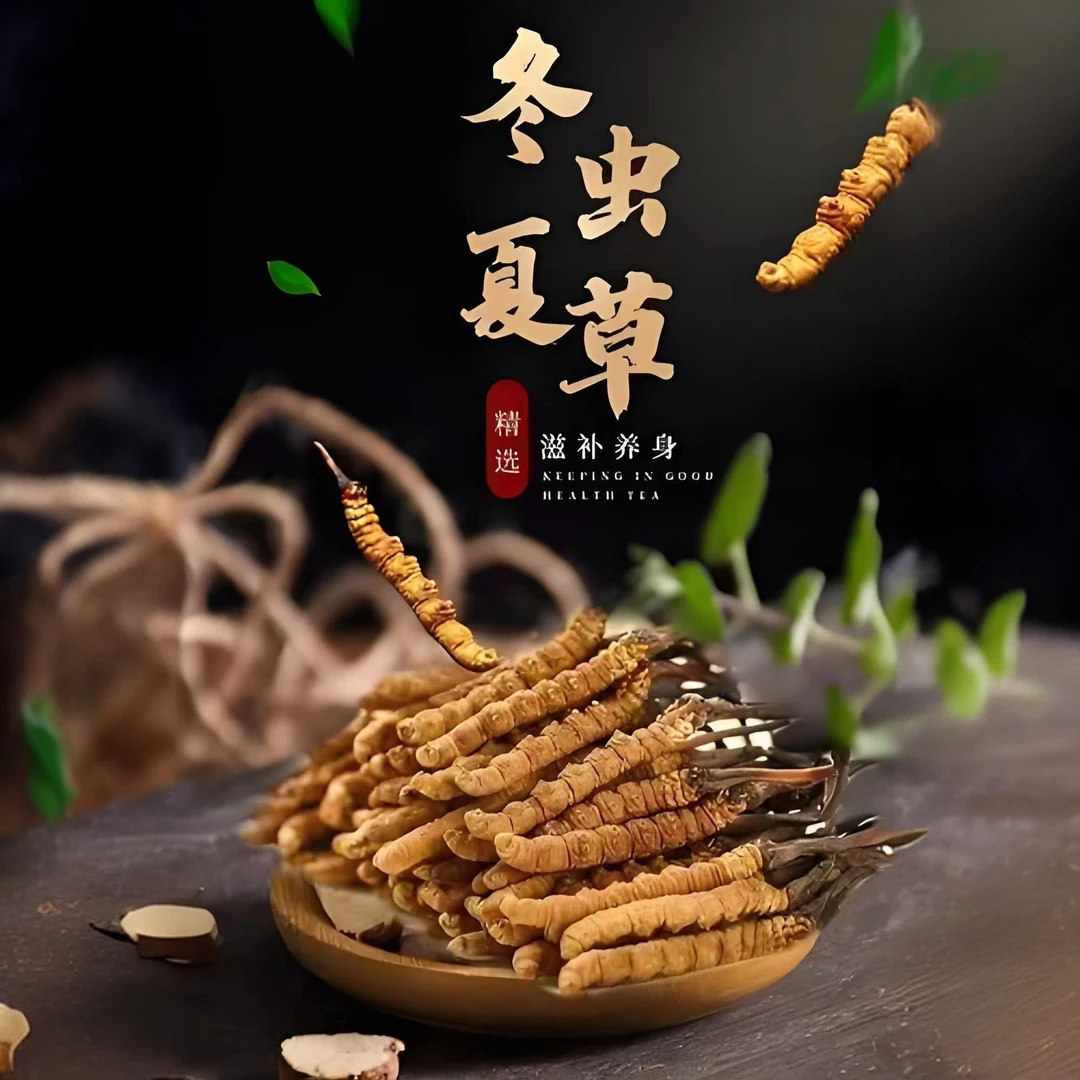 庆举堂高原冬虫夏草4根1克/10根礼盒装