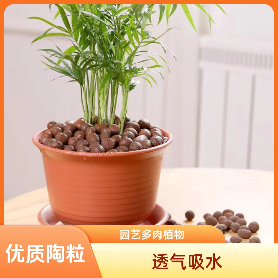 陶粒进口分装小包优质铺面颗粒陶粒吸水陶粒通用环保提升美观透气