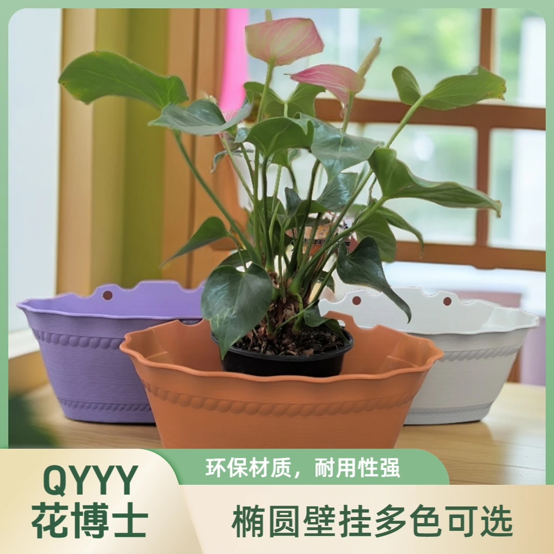 花博士波浪边椭圆形环保壁挂花盆墙壁可选固定绿植加厚浮雕壁挂盆