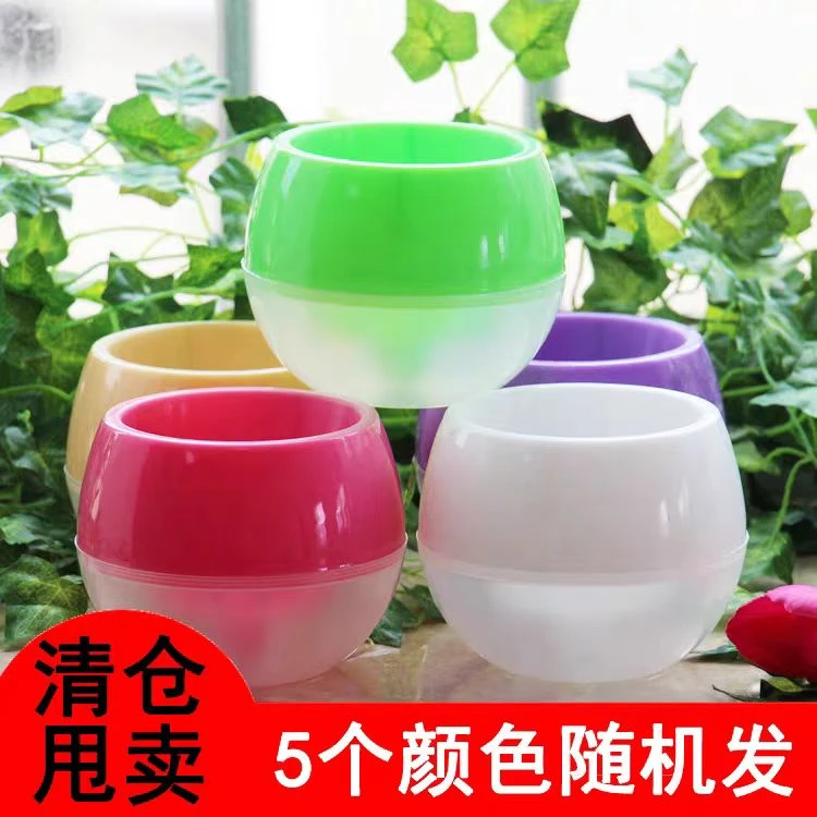 苹果彩色懒人盆球形花盆蓝色透明大号环保储水颜色全新甩卖五色