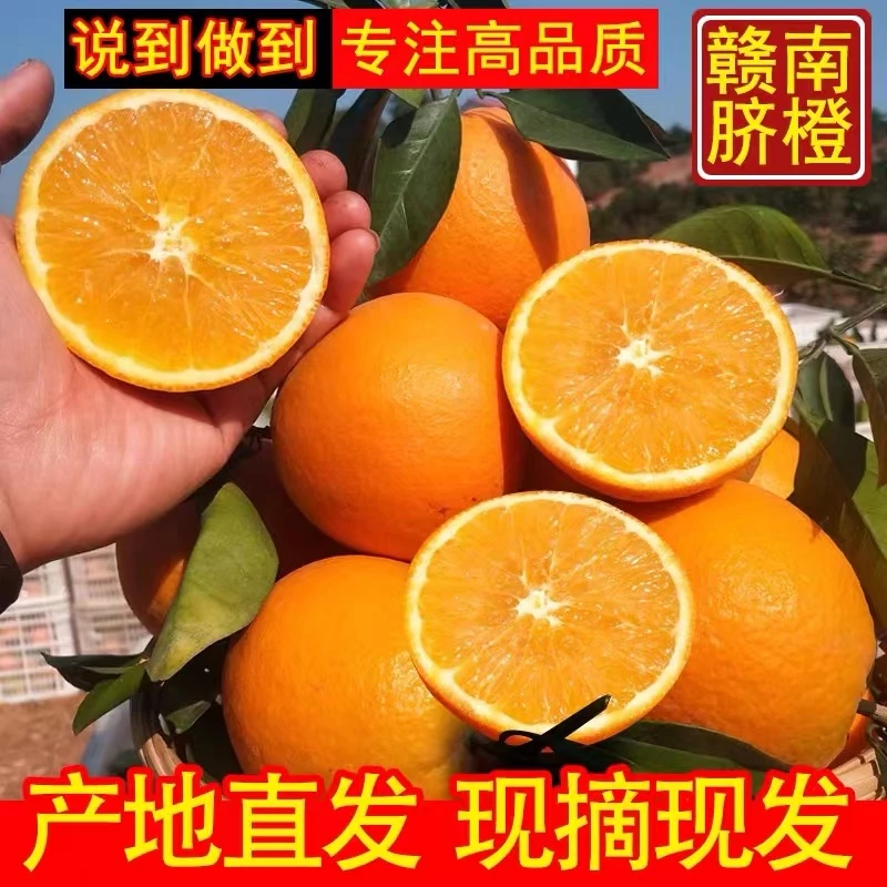 江西正宗赣南脐橙5/10/20斤装皮薄现摘现发新鲜应季水果坏果包赔
