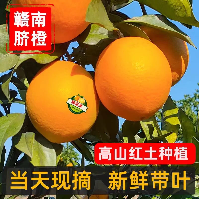 【尝鲜】江西正宗赣南脐橙产地直发新鲜现摘孕妇当季水果彩箱10斤装