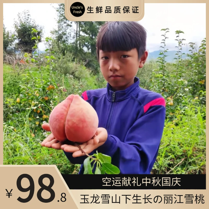 丽江拉市雪桃特大果王礼盒中秋国庆应季新鲜现摘顺丰包邮云南特产