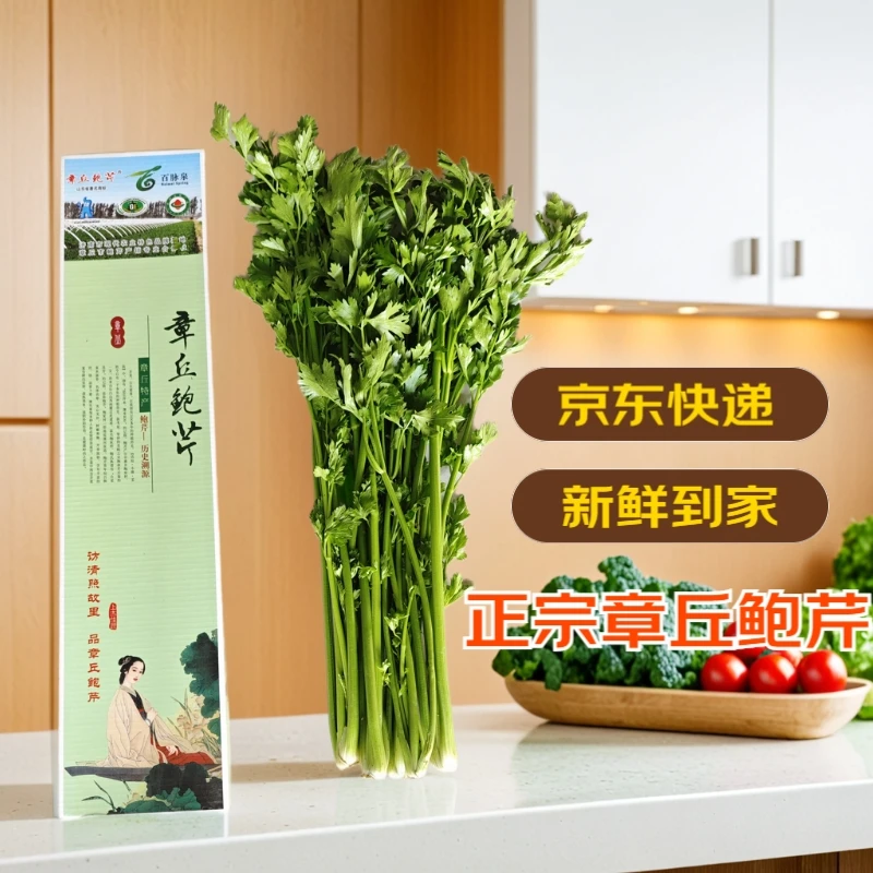 正宗山东章丘鲍芹 精品4斤礼盒 新鲜蔬菜地方特产礼盒产地直发