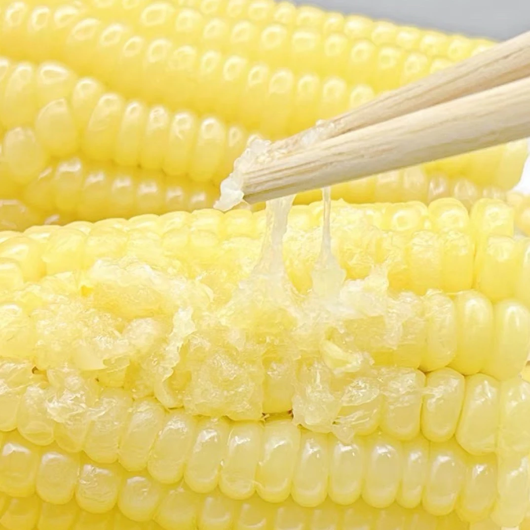 【新疆直发】阿勒泰阿尔达乡甜糯玉米早餐非转基因6根12根装