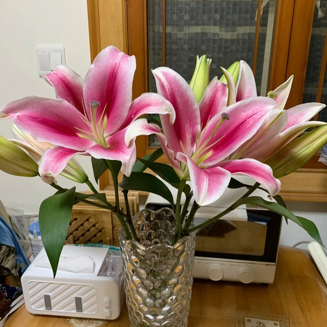 云南昆明基地直发 （不指定颜色香水百合10个花苞)