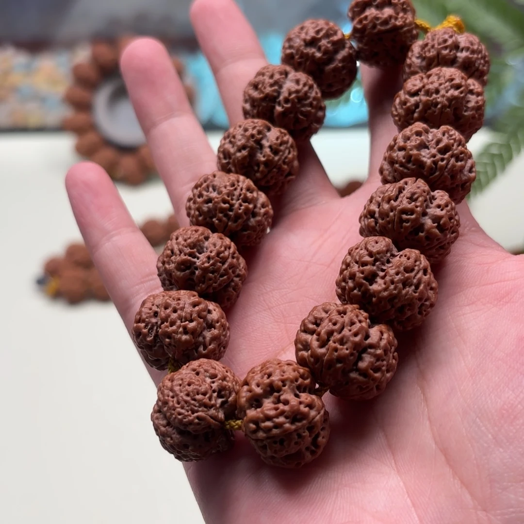 金刚菩提手串大*?树王