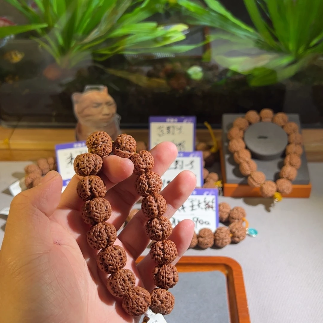 金刚菩提吊坠社***帅世楚一号18