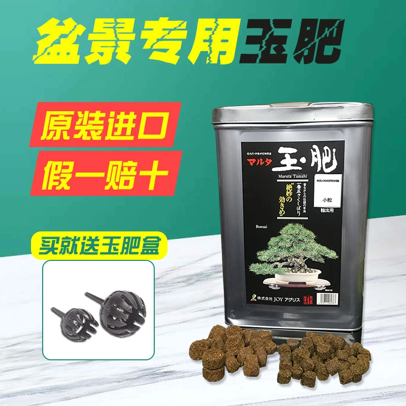 玉肥肥料盆景专用颗粒缓适肥送肥料盒松柏杂木专用肥