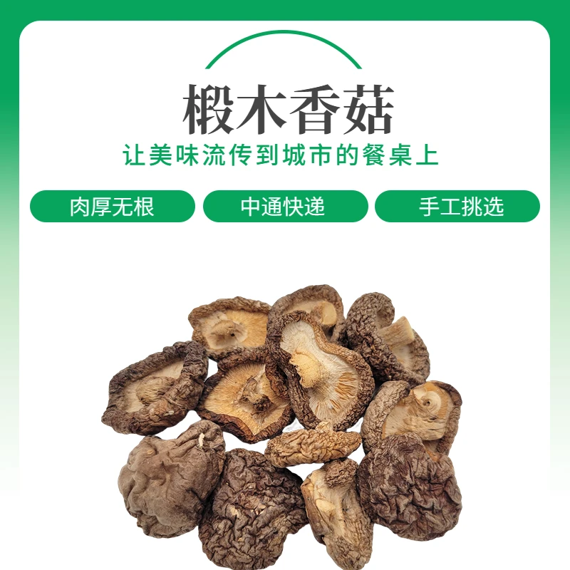 东北椴木香菇干货散装新货土特产非纯野生花菇干蘑菇炖小鸡食材
