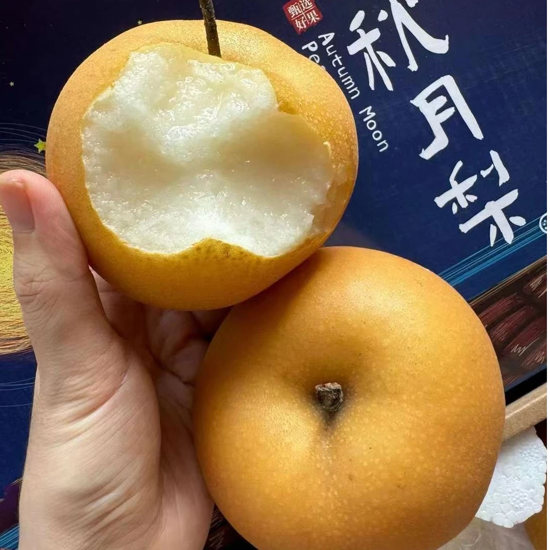 秋月梨山东莱阳新鲜水果精品现摘原产梨子4.5斤酥脆皮薄多汁爽口
