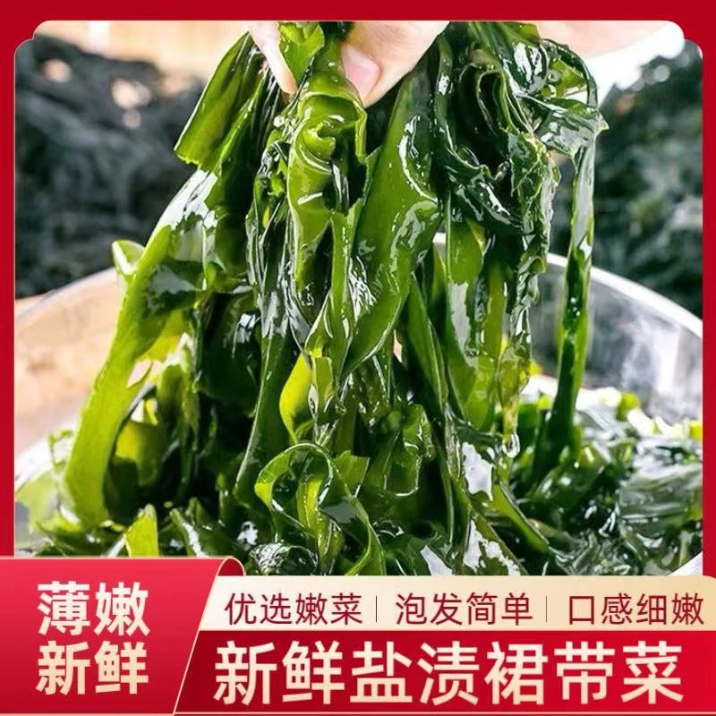 【正宗大连海白菜】盐渍火锅裙带菜海带凉拌菜麻辣烫食材100g/袋