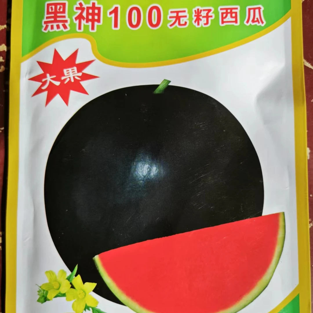 黑神100-黑皮无籽西瓜种子，个头大，产量高