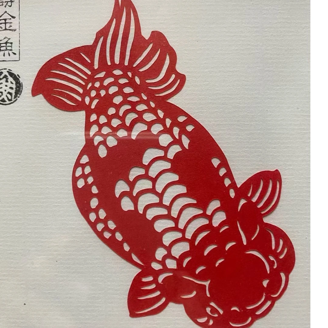 爱鱼者说金鱼兰寿金鱼
