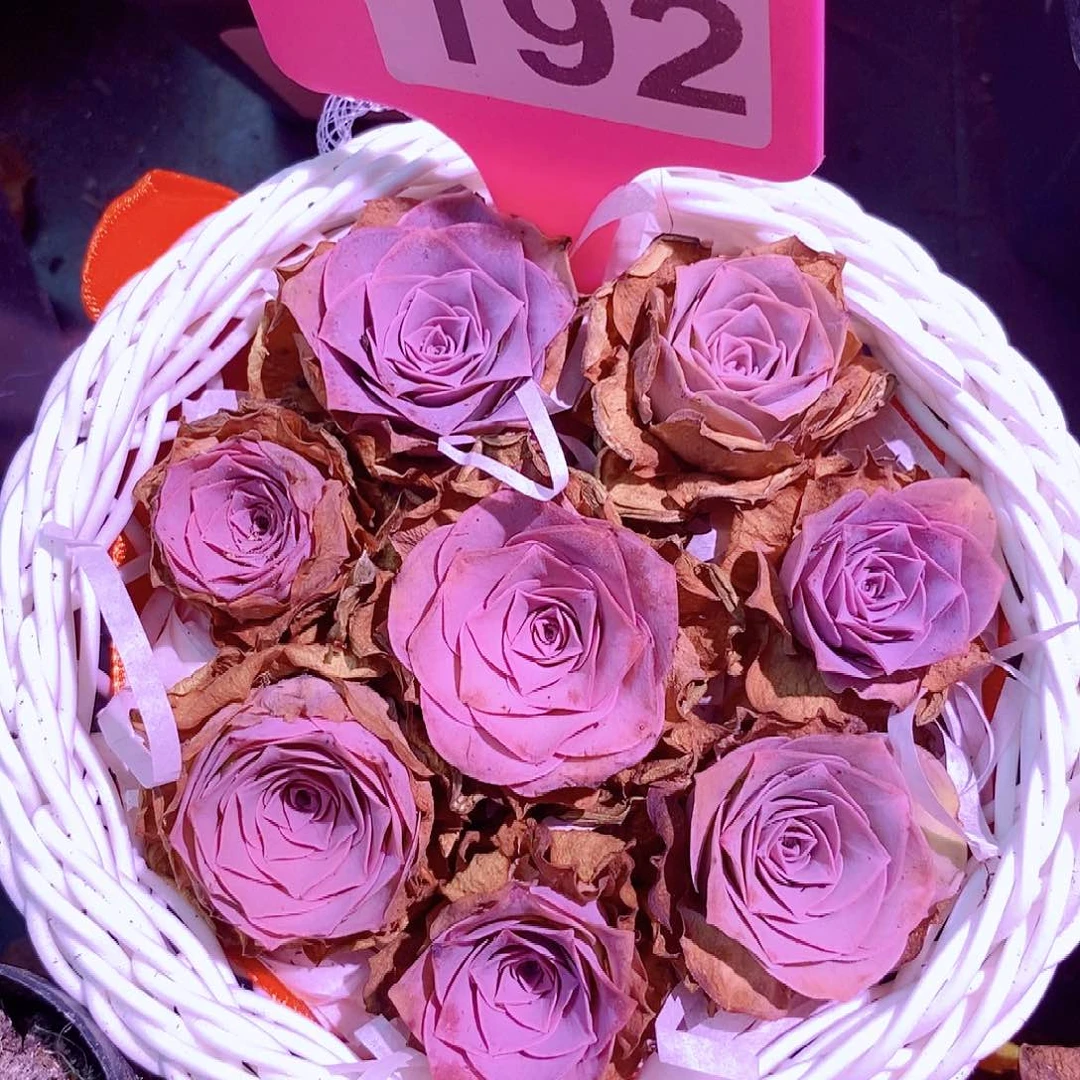 山地玫瑰花篮福利一物一拍192