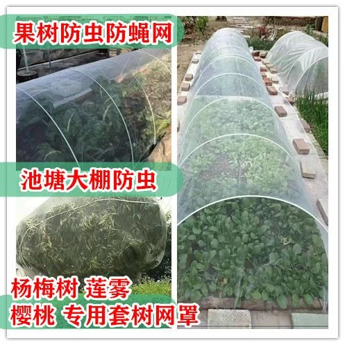 家用纱网防虫网全封闭防蚊农用大棚果树养殖场庭院防蚊网加密加厚