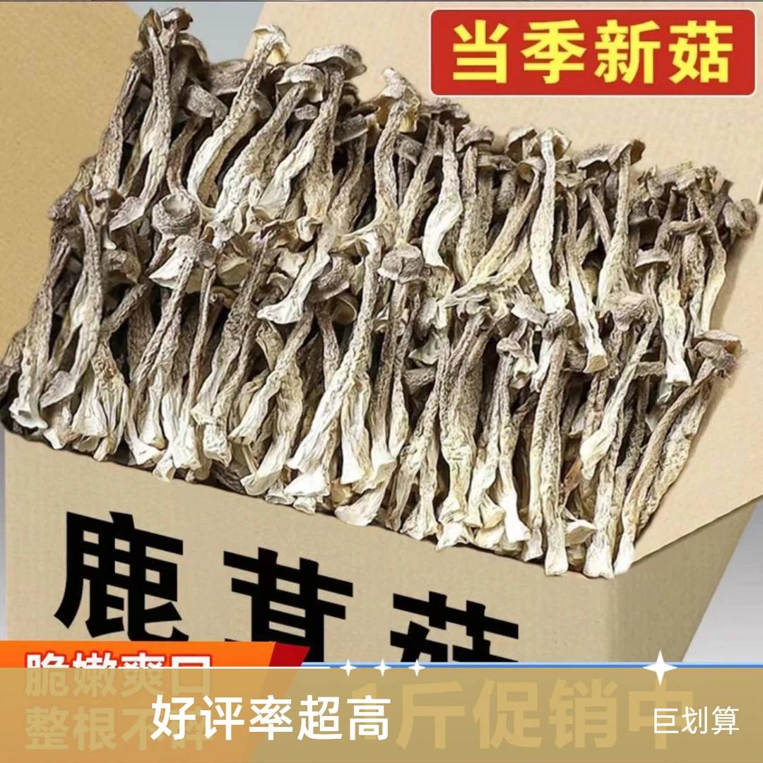 新货鹿茸菇干货批发农家特产鹿茸菌鹿耳菇菌菇香菇蘑菇毛重批发