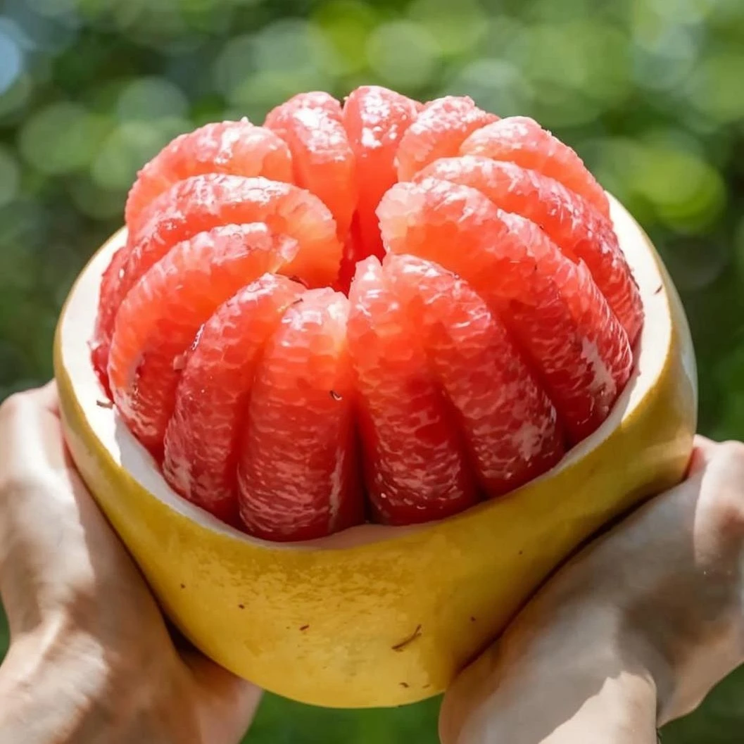 【美玲严选】正宗红心柚当季限定三红柚新鲜水果应季水果4粒包邮