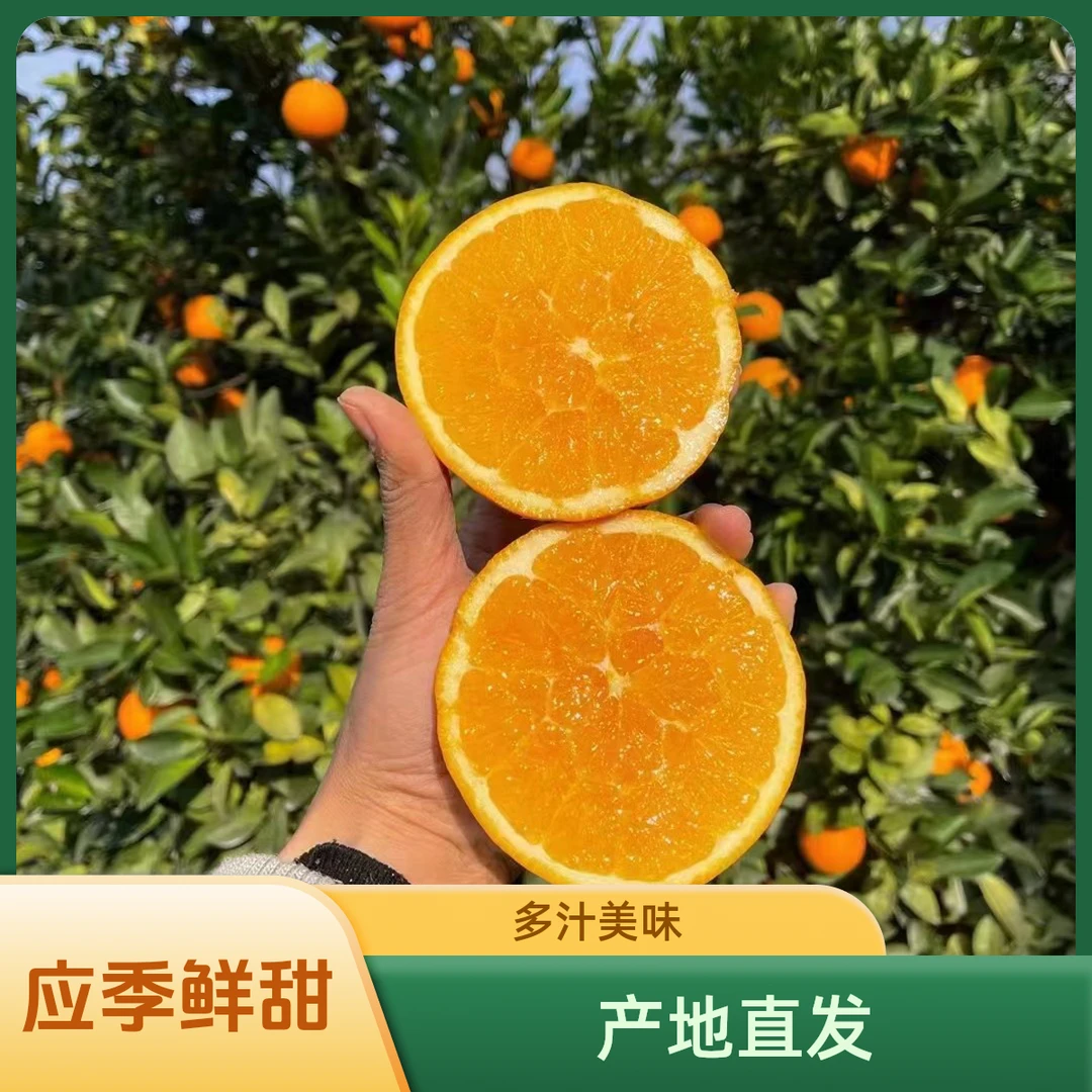 江西赣南脐橙新鲜应季水果甜橙香甜多汁橙子5/10斤装（产地直发）