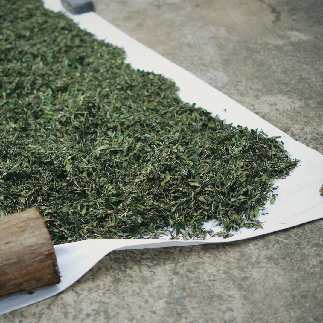 归荼茶事｜（临时链接）枝枝荒野寿眉 2021年 福鼎白茶 150g