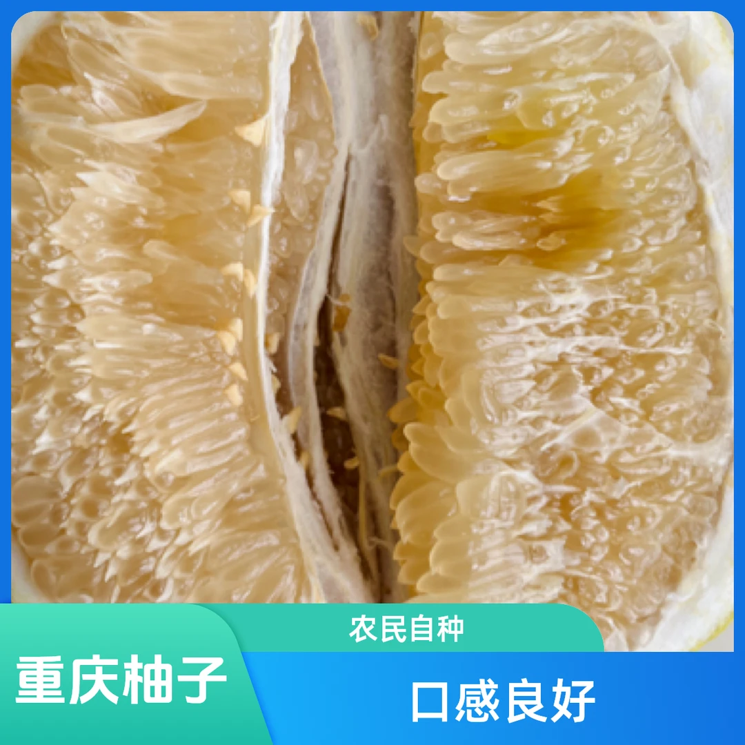 农村老树白心柚子酸甜适中脆甜可口汁水充足农家肥自然熟农民自种