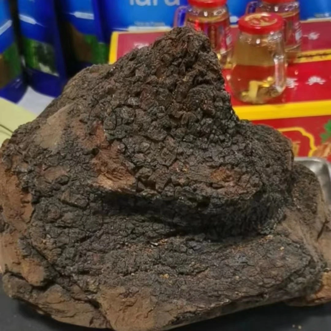 【俄茸臻品】高年份 桦树茸 整颗大块 糖友 农产品 1000g