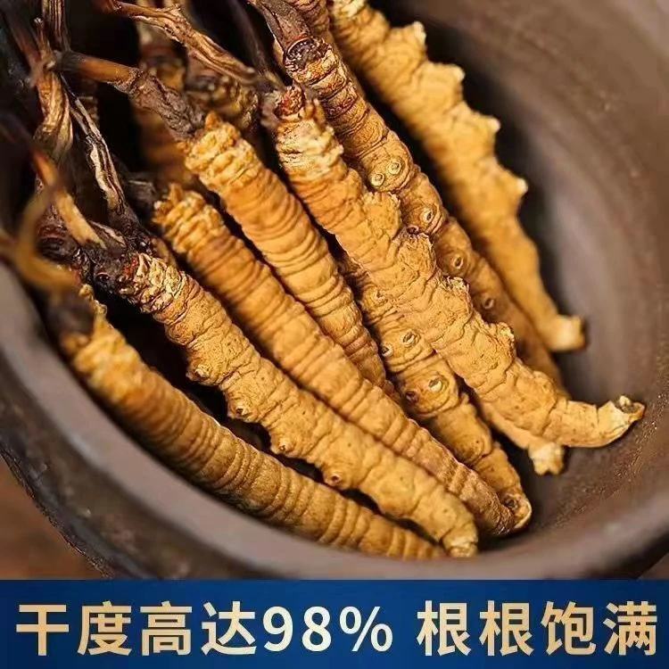 冬虫夏草30克120根礼盒装 正宗高海拔头茬新干冬虫夏草