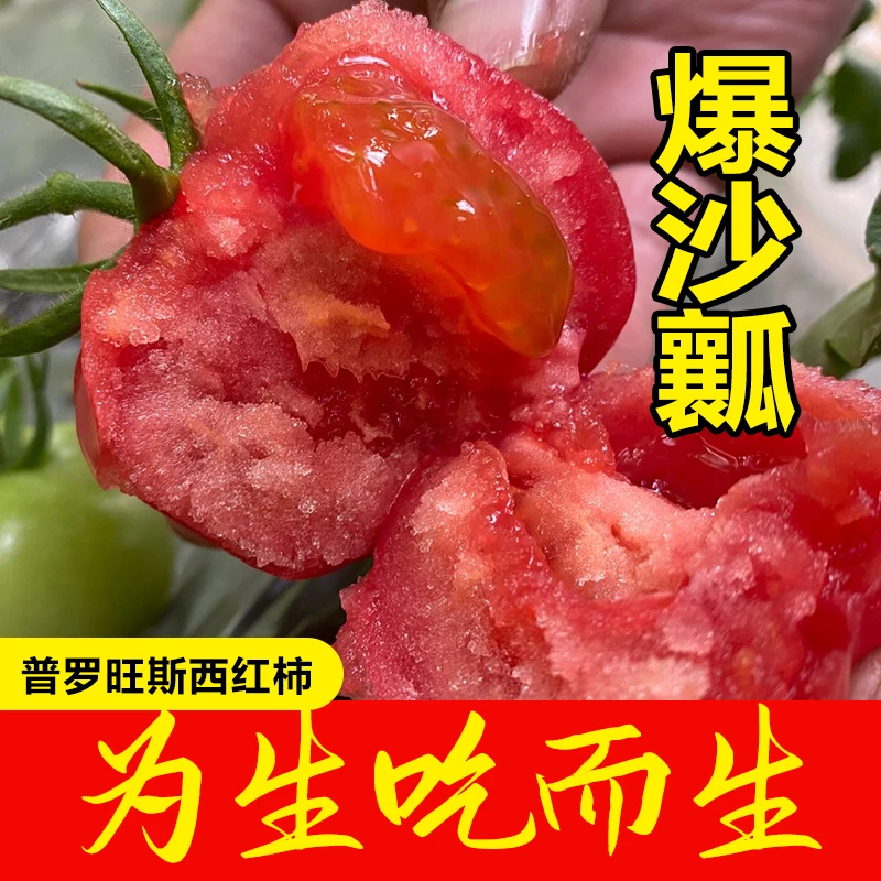【产地直供】正宗普罗旺斯水果西红柿多汁沙瓤 2.5-5斤京东包邮！