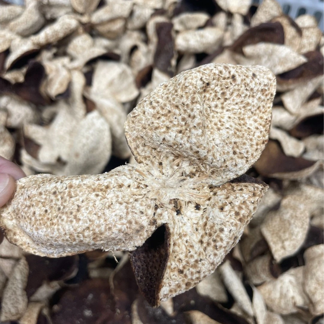 天马大红2019年新会陈皮核心产区正宗新会原产地自然生晒干仓陈皮