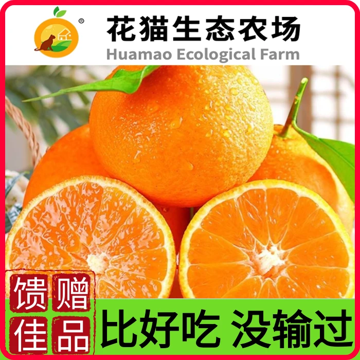 花猫农场生态种植柑橘甜度爱媛38果冻橙果味浓礼盒装礼品普通送礼