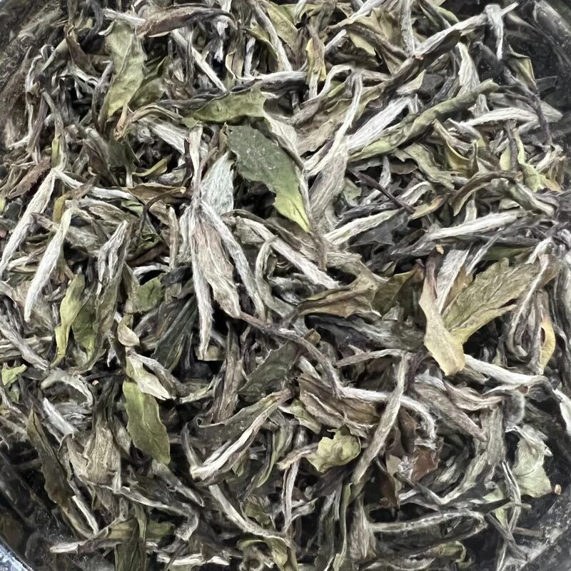 老南关 福鼎白茶 【白牡丹】 2021年福建 花香毫香