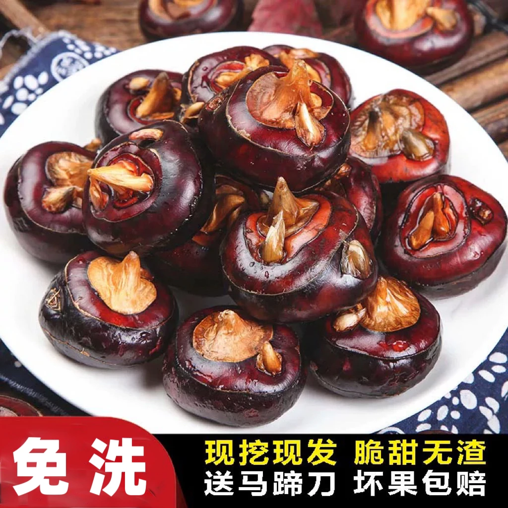 【免洗马蹄】新鲜荸荠地栗地梨农产品当季果蔬三斤斤装爽口多汁