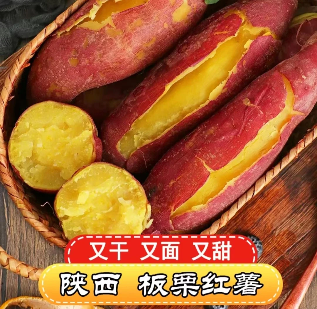 陕西正宗板栗红薯5斤9斤新鲜现挖干粉面甜小番薯农家地瓜烤红薯