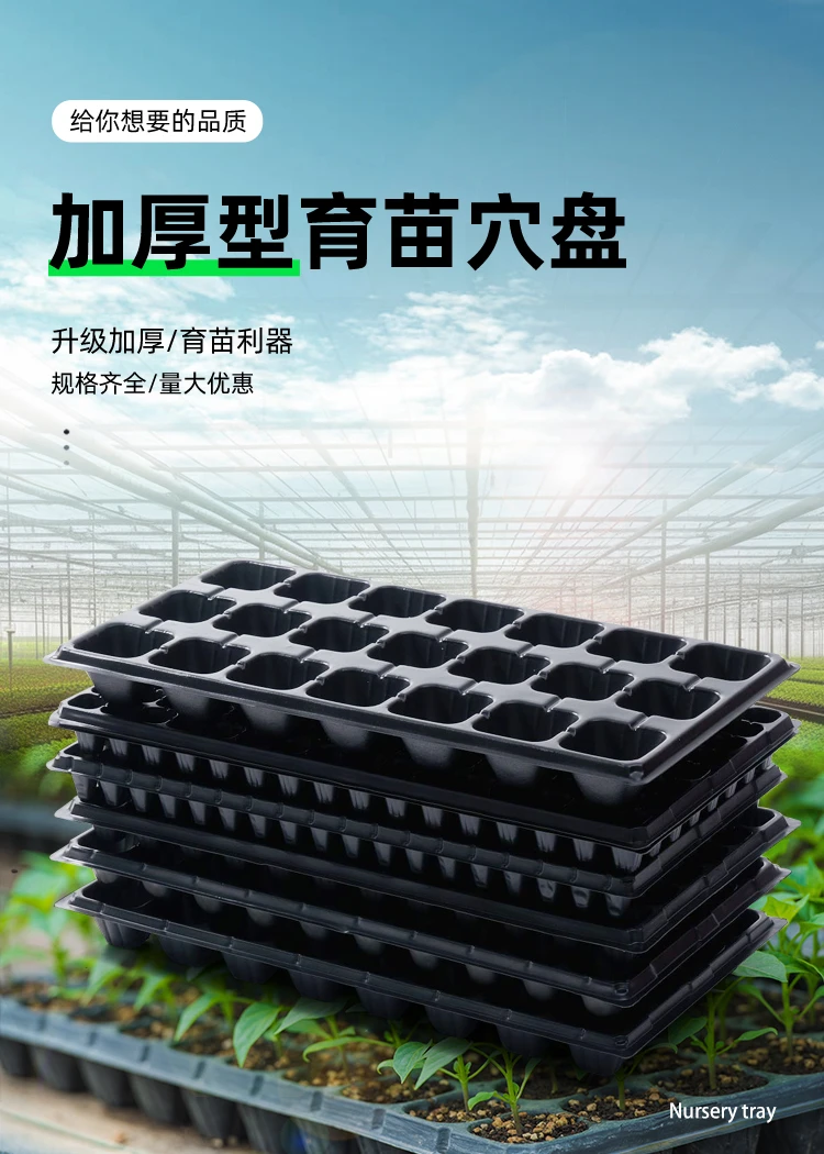 种菜专用箱子育苗盆/营养钵适用家庭黑色多肉育苗盘基地厂家直发