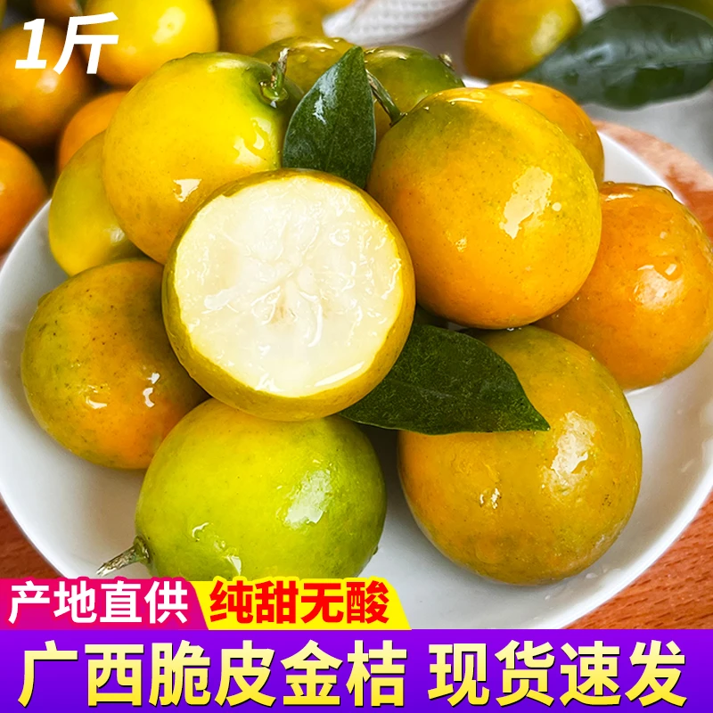 【宠粉福利】广西金桔脆皮金桔1斤纯甜现摘新鲜水果纯甜小金桔子