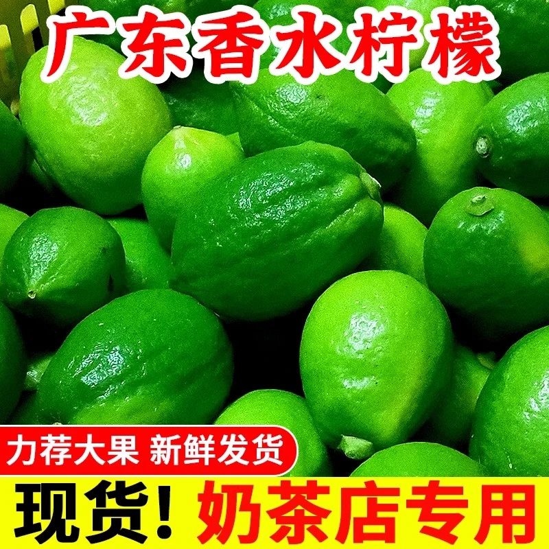 正宗广东香水柠檬5斤一级果广东香水青柠檬新鲜果香无籽清新香气