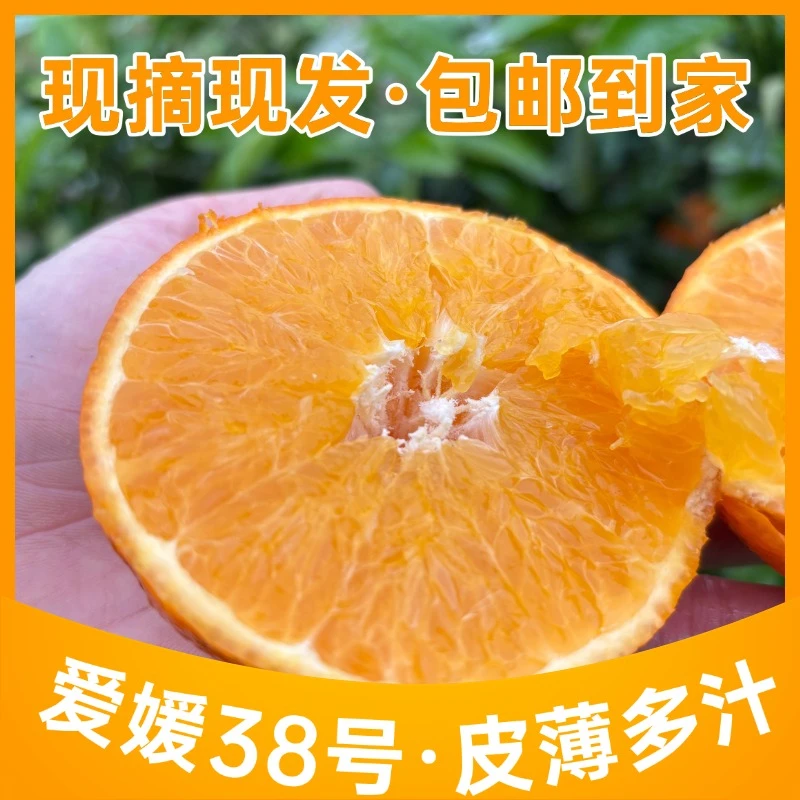 爱媛38号果冻橙柑橘当季新鲜水果皮薄肉厚整箱现摘包邮坏果包赔