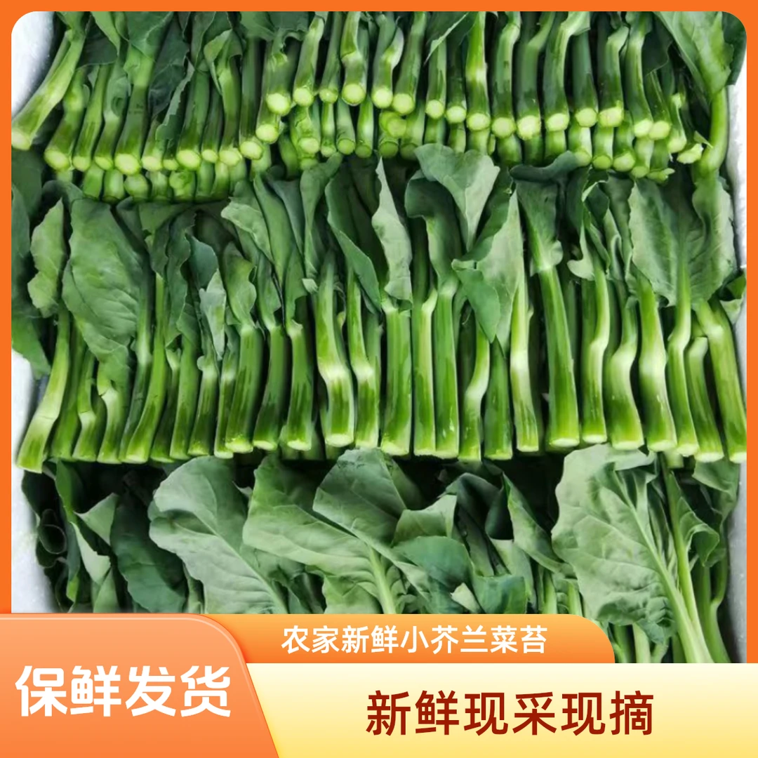 农家新鲜小芥兰菜苔蔬菜云南特色蔬菜芥蓝菜一斤装保鲜发货胡萝卜