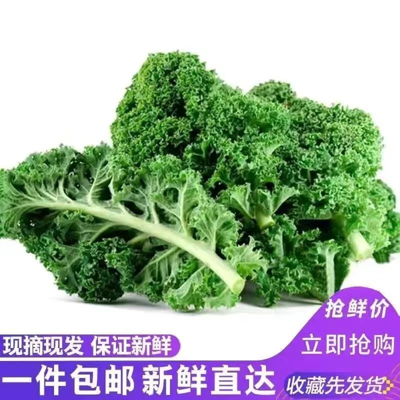新鲜羽衣甘蓝健身食材榨汁沙拉kale轻食胡萝卜