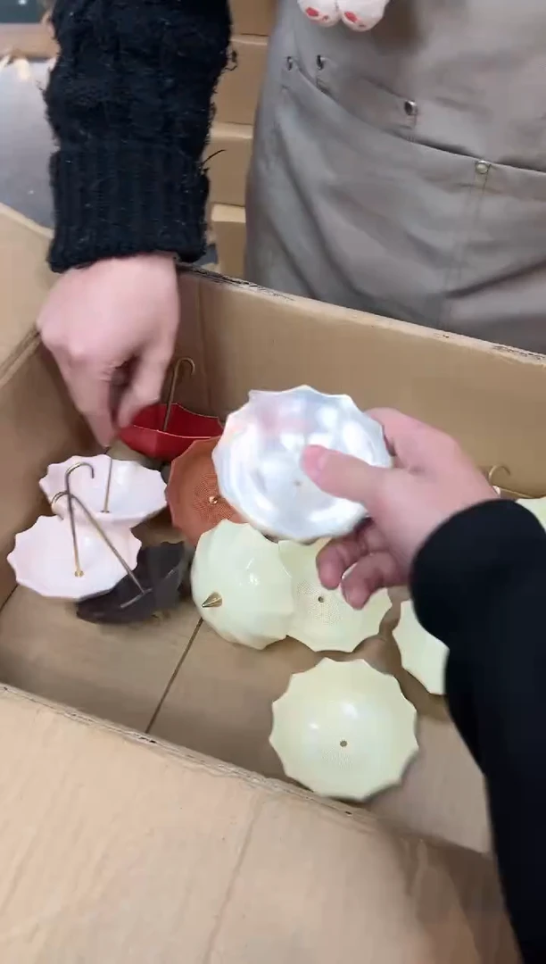 【闪购商品】瓷其他瓷K1